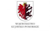 Wybierają rodzynki z pozarządówki